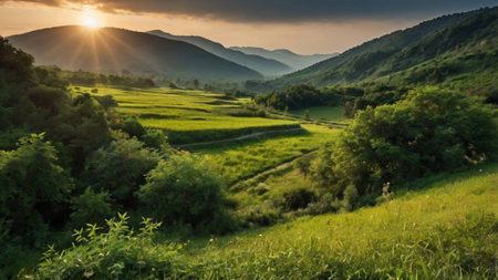 Panoramic view of green meadow and mountains at sunset.
