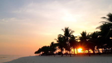 Beautiful sunset on the beach with palm trees and sun rays.の写真素材