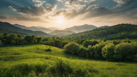 Beautiful summer landscape with green meadow and mountains in the backgroundの写真素材