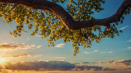 Tree branch with leaves against the sunset sky. Beautiful nature background.