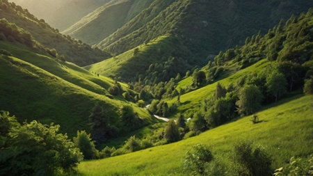 Beautiful mountain landscape with green meadows and forest in the morningの写真素材