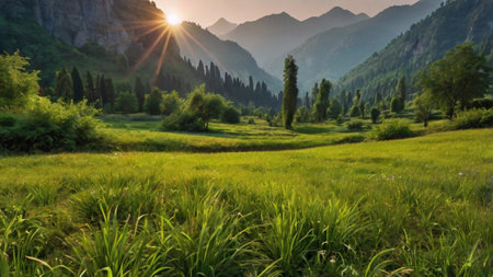Mountain landscape at sunset. Green grass and trees on the foreground.の写真素材