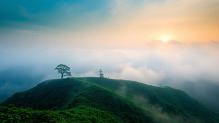 Mountain landscape with fog and tree in the morning at Phu Chi Fa, Chiang Rai, Thailandの写真素材