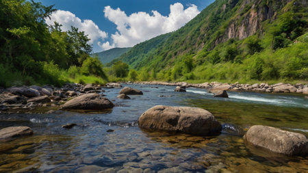 Landscape with a mountain river in the Altai Republic, Russiaの写真素材
