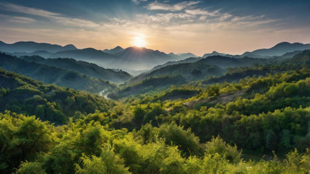 Sunset in the mountains. Landscape with green forest and river