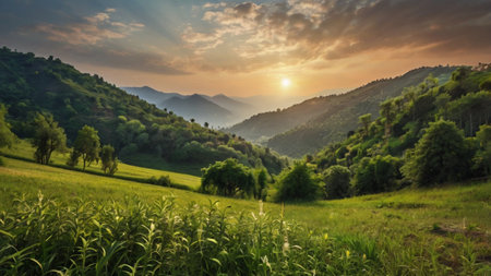 Sunset in the mountains with green grass and trees. Beautiful summer landscape.