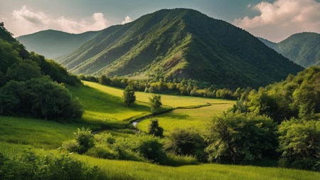 Beautiful summer landscape in the Carpathian mountains, Ukraine.の写真素材