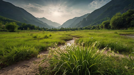 Beautiful summer landscape in the mountains. Green meadow and river