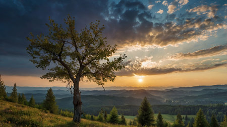 Majestic sunset in the mountains landscape. Dramatic sky. Carpathian, Ukraine, Europe. Beauty world.
