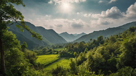 Rice terraces in the morning. Panorama of rice fields and mountains.の写真素材