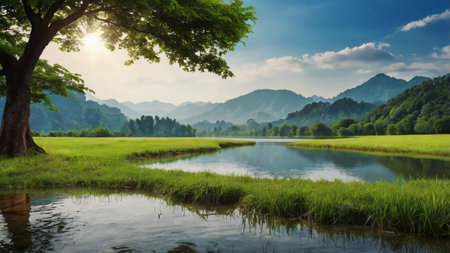 Landscape of green rice field and mountain with reflection in the lakeの写真素材