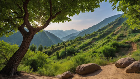 Beautiful summer landscape with green trees and mountains in the background.