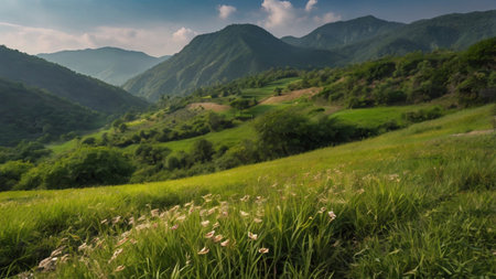 Panoramic view of the green hills and meadows in Georgiaの写真素材