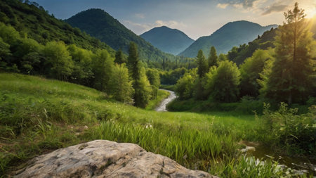 Beautiful summer landscape in the Carpathian Mountains, Ukraine.の写真素材
