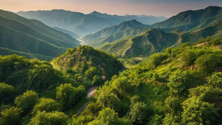 Aerial view of green mountains at sunset. Beautiful nature landscape.の写真素材