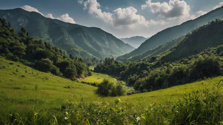 Mountain landscape with green meadow and forest under blue sky with clouds