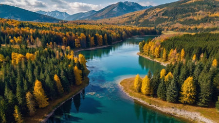 Aerial view of the mountain river in autumn. Beautiful autumn landscape