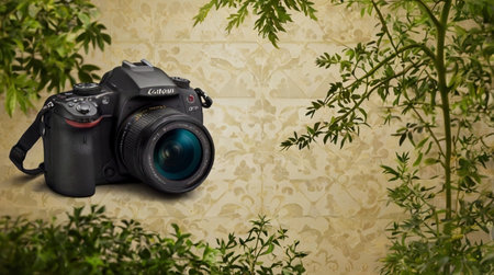 Digital SLR camera on a background of green plants and a wall