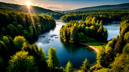 Aerial view of the river and forest at sunset. Beautiful summer landscape