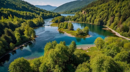 Aerial view of a beautiful lake in the Carpathian mountains