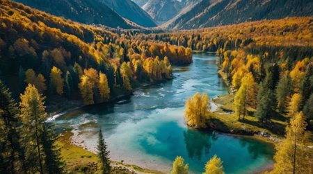 Aerial view of autumn forest and mountain river. Beautiful nature landscape.