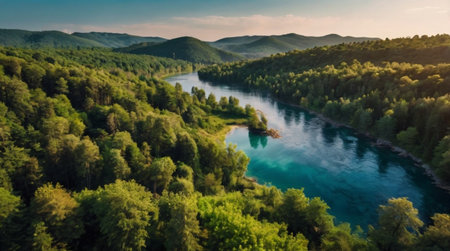 Aerial view of the river and forest. Beautiful summer landscape.