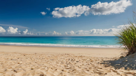 Panoramic view of beautiful tropical beach with blue sky and white cloudsの写真素材