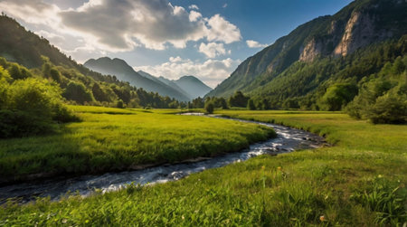 Panoramic view of a mountain river in the valley. Summer landscapeの写真素材