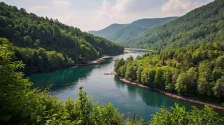 Panoramic view of the river flowing through the forest. Beautiful summer landscape.