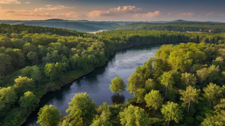 Aerial view of the river in the forest. Beautiful summer landscape.の写真素材