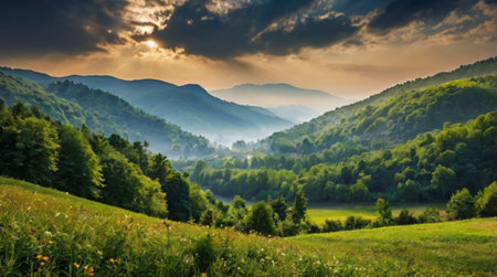 Beautiful summer landscape in the Carpathian Mountains, Ukraine.の写真素材