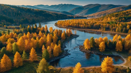 Aerial view of autumn forest and river. Beautiful nature landscape.の写真素材