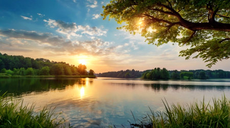 Beautiful summer landscape with lake and trees at sunset. Panorama