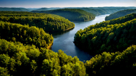 Aerial view of the river and the forest. Beautiful summer landscape.