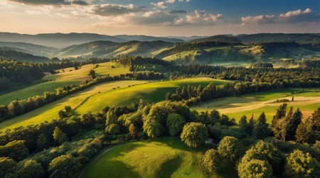 Aerial view of beautiful summer landscape with green meadow and forestの写真素材