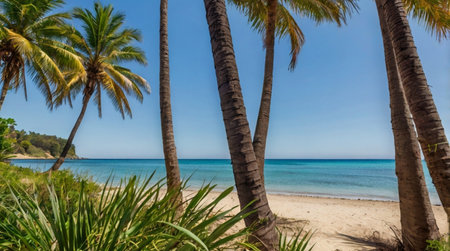 Palm trees on a tropical beach in the Dominican Republic, Caribbean
