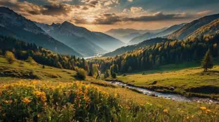 Panoramic view of alpine meadow with sunflowers at sunset.の写真素材