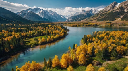 Aerial view of autumn alpine lake with colorful forest and mountainsの写真素材