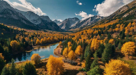Aerial view of beautiful autumn alpine landscape with river and forest.