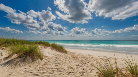 Panoramic view of the beautiful Caribbean beach of Cayo Largo, Cubaの写真素材