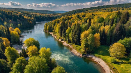 Aerial view of the river and forest. Beautiful autumn landscape.