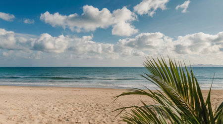 beautiful sandy beach with palm trees and blue sky with white cloudsの写真素材