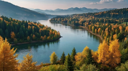 Panoramic view of the river in the autumn forest. Mountain landscape.の写真素材