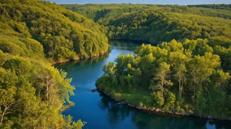 Aerial view of the river and forest. Beautiful summer landscape.