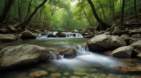 Beautiful waterfall in green forest, long exposure photo