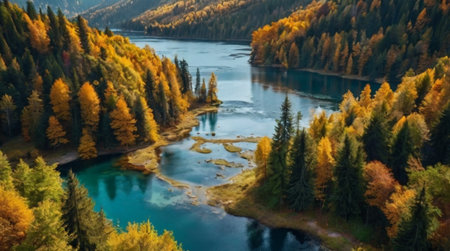 Aerial view of beautiful autumn forest and river. Colorful autumn landscape in the mountains