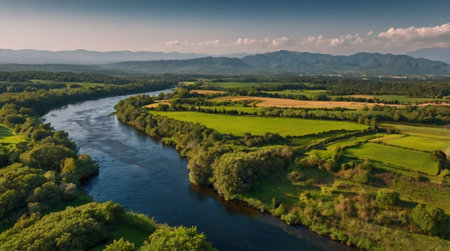 Aerial view of the river and forest. Beautiful summer landscape.の写真素材