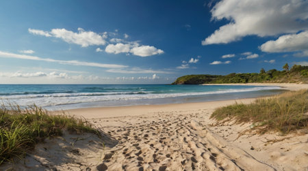 Panoramic view of a beach in the north of New Zealandの写真素材
