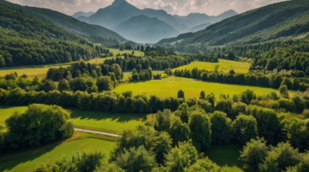 Aerial view of green meadows and forests in Tatra Mountains, Polandの写真素材