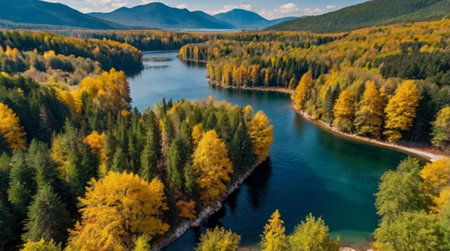 Aerial view of autumn forest and lake. Beautiful nature landscape.